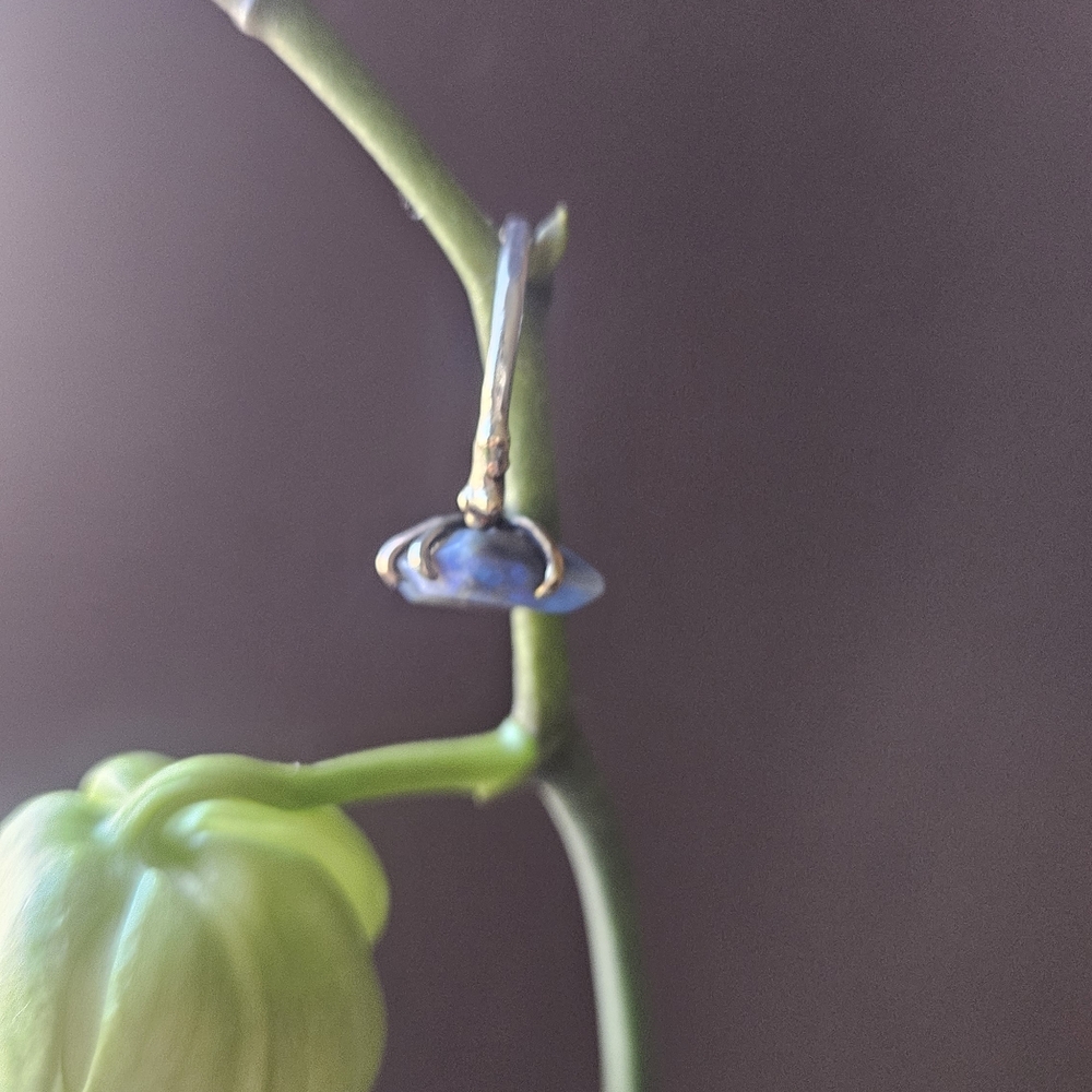 Variance objects medium stone ring - Picture 3 of 5